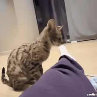 ПЛОХОЙ ПАРЕНЬ • @xsutiabat telegram stickers