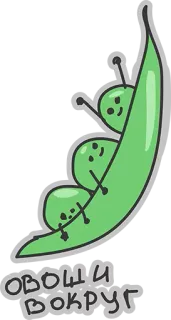 ❤ 8f3d0181 ОВОЩИ ВОКРУГ 豌豆, 蔬菜, 卡通, 食物, 可爱, 绘画 whatsapp sticker