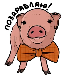 🥳 58f0314a ПОЗДРАВЛЯЮ! pig, bow, cute, congratulations, animal, cartoon, sticker telegram sticker