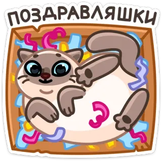🥳 0add8d1f ПОЗДРАВЛЯШКИ kot, gratulacje, rosyjski, pudełko, święto whatsapp sticker