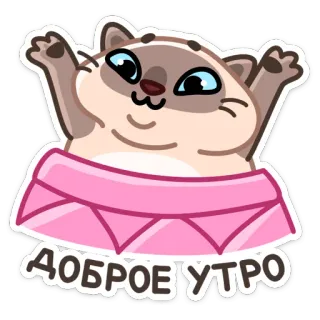 🥱 32051203 ДОБРОЕ УТРО kot, dzień dobry, słodki, zwierzę, naklejka whatsapp sticker