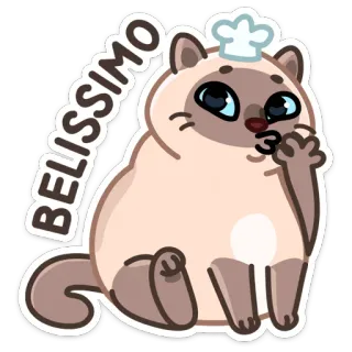 🤌 5c25e746 BELISSIMO kot, zwierzę, słodki, szef kuchni, pocałunek, naklejka, kreskówka whatsapp sticker