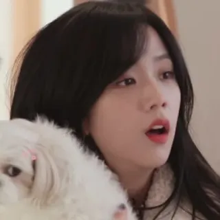 🐤 6c114d4b kobieta, pies, portret, twarz, osoba, zwierzę telegram sticker