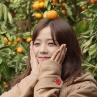 🐤 d2487f29 kobieta, pomarańcza, drzewo, owoc, szczęśliwy, uśmiechnięty telegram sticker