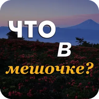 👝 2acf2ae4 ЧТО В мешочке? question, russe, nature, montagnes, paysage whatsapp sticker