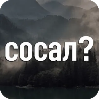 🍆 2bfc5b2f Сосал? whatsapp sticker
