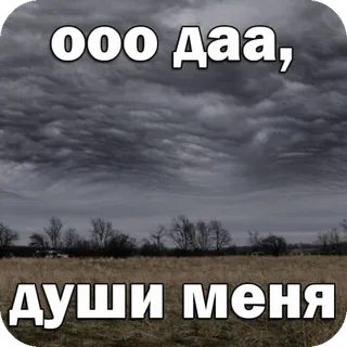 😏 492eb7f0 ООО Даа, 
души меня nuage, ciel, champ, paysage, russe, expression whatsapp sticker
