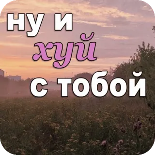 😐 b9361966 ну и хуй с тобой offensant, impoli, insulte, russe, juron, expression whatsapp sticker