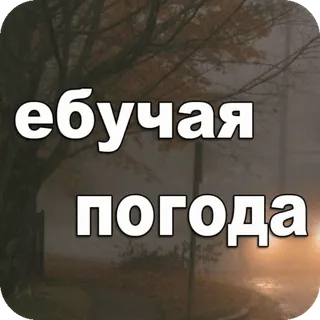 ⛈ d2eee200 ебучая погода Météo, Mauvais, Pluie, Automne, Automne whatsapp sticker
