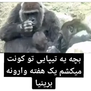 😐 99ab2d42 بچه یه تییایی تو کونت میکشم یک هفته وارونه برینیا whatsapp sticker