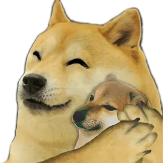 😂 0a481ad8 Doge doge, ミーム, 犬, 動物, かわいい, 幸せ telegram sticker