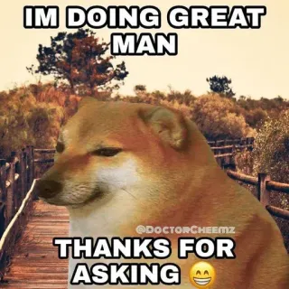 🙂 32652e29 IM DOING GREAT MAN
THANKS FOR ASKING doge, ミーム, cheems, 犬, 幸せ, 動物 telegram sticker