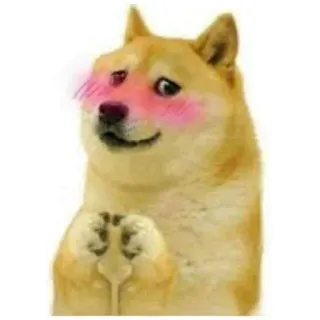 😳 69b1aef9 Doge ドージ, 犬, ミーム, 照れる, 可愛い, ネットミーム telegram sticker