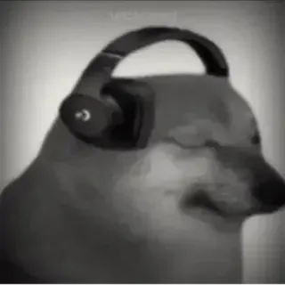 🥲 dab0bb35 犬, ミーム, チームス, ヘッドホン, 動物, ネットミーム telegram sticker