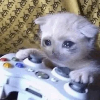 Mei Misaki's pack by @Makima_UltraXBot 6 telegram stickers