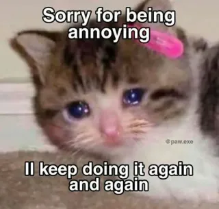 Mei Misaki's pack by @Makima_UltraXBot 6 telegram stickers