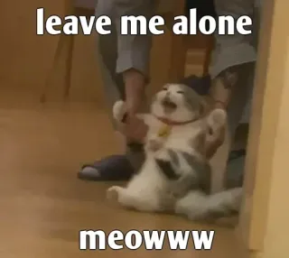 😖 b341a9bb leave me alone
meowwww 고양이, 밈, 웃긴, 동물, 애완 동물, 내버려둬, 야옹 telegram sticker