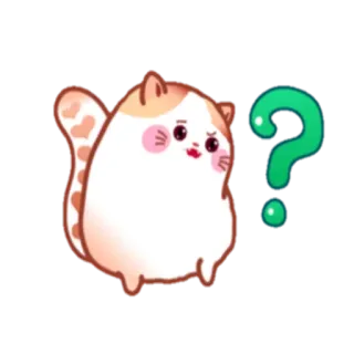🤔 1503fe65 kot, znak zapytania, słodki, naklejka, kot z kreskówki, kotek, zwierzę telegram sticker