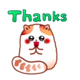 🙏 cba71765 Thanks dzięki, kot, słodki, zwierzę, pozdrowienie telegram sticker