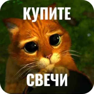 🐱 e224c1cb КУПИТЕ
СВЕЧИ gato, rogando, lindo, meme, velas telegram sticker