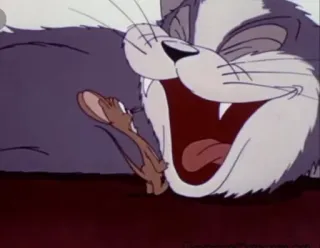 😸 dc7c6d7c Tom Tom and Jerry mèo, chuột, hoạt hình, bạn, đánh nhau, vui nhộn, hài hước telegram sticker