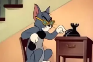 📞 efddbf77 Tom Cat Tom and Jerry hoạt hình, mèo, hài hước, kính, điện thoại telegram sticker