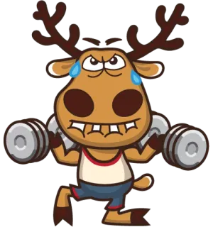 💪 7464dc4a ヘラジカ, 運動, 重量挙げ, 漫画, フィットネス, ダンベル, 汗 telegram sticker