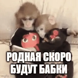 🍭 6e023175 РОДНАЯ СКОРО БУДУТ БАБКИ scimmie, animali, carino, soldi, divertente telegram sticker
