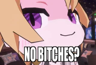 🙏 33e8d6c7 NO BITCHES? Meme, Gracioso, Insulto, Texto telegram sticker