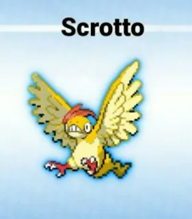 🆘 42c7f1a8 Scrotto นก, สัตว์, scotto, สิ่งมีชีวิต, สติกเกอร์, ตลก, หยาบคาย telegram sticker