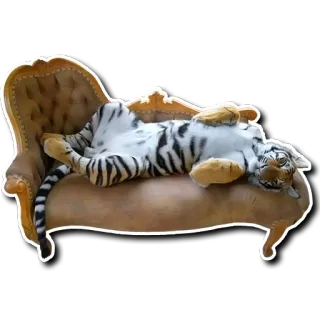 😬 1facf861 老虎, 动物, 沙发, 放松, 休息, 野生动物, 猫科动物 telegram sticker
