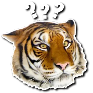 😮 4d71bd6e ??? 老虎, 问号, 困惑, 动物, 大型猫科动物, 哺乳动物, 贴纸 telegram sticker