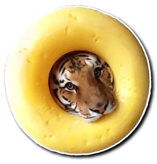 🤐 756c038e 老虎, 奶酪, 动物, 搞笑, 可爱, 圆 telegram sticker