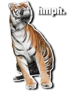 😑 b5aad786 hmph. 老虎, 动物, 哼, 表情包, 猫, 野生动物 telegram sticker