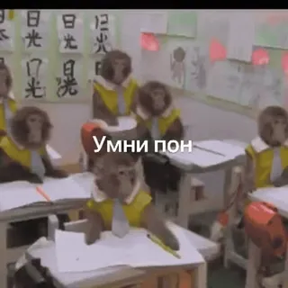 🌟 a982f327 Умни пон Affe, Klassenzimmer, Tiere, Schüler, Schule telegram sticker