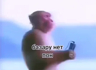 🌟 e5a21385 базару нет пон Affe, russisch, Phrase, Meme telegram sticker