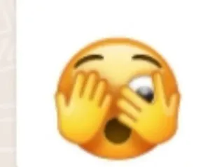 ☕️ 272113a4 emoji, face, expression, shocked whatsapp sticker