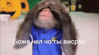 🤨 123b6126 Боже чел чо ты висрал singe, drôle, animal, mème telegram sticker
