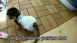 PON's :: @fStikBot whatsapp stickers