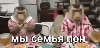 Поны | @fdegv | ебать чо это такое :: @fStikBot telegram stickers