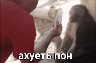 Поны | @fdegv | ебать чо это такое :: @fStikBot telegram stickers