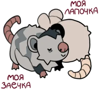 💖 9608cc71 МОЯ ЛАПОЧКА, МОЯ ЗАЕЧКА Opos, Słodkie, Zwierzę, Kreskówka, Naklejka telegram sticker
