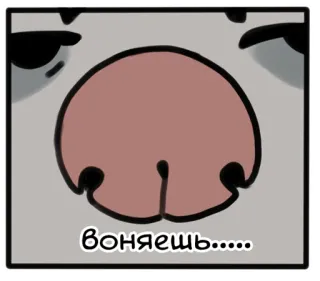 👃 f56c2290 воняешь... zapach, pysk, pies, słodki, rosyjski telegram sticker