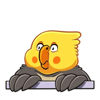 ☺️ c4f02323 pappagallo, uccello, animale, calopsitta, carino, occhi whatsapp sticker