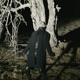 🌟 074465d9 telegram sticker