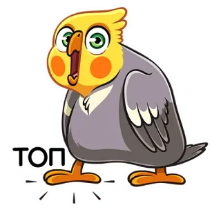 🔝 3bc70a93 ТОП 새, 왕관앵무, 앵무새, 탑, 귀여운 telegram sticker