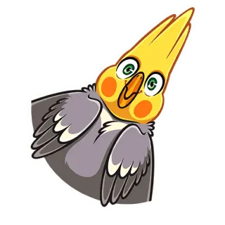 😱 3d1c60af 왕관앵무, 새, 앵무새, 애완 동물, 동물 telegram sticker