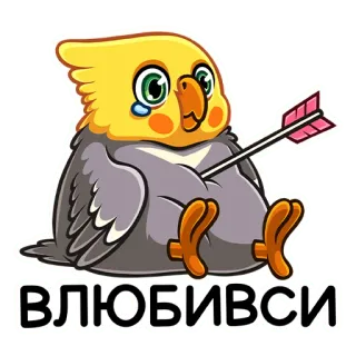 😍 4db9c232 ВЛЮБИВВСИ 새, 왕관앵무, 화살표, 사랑, 슬픔, 러시아어 telegram sticker