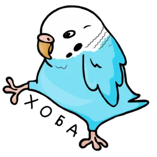 💁‍♀️ 8cad57fb ХОБА 鸟, 鹦鹉, 可爱, 贴纸, 霍巴, 霍巴 telegram sticker