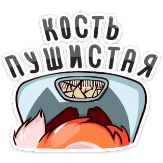 🙃 d5b54a3c кость пушистая lis, łuski, słodki, zwierzę, kreskówka telegram sticker